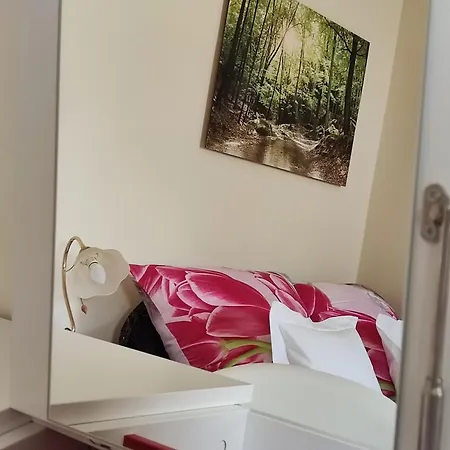 Havasi Ueduelohaz Apartment *