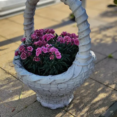 Havasi Ueduelohaz * Gyenesdias