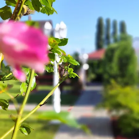 Havasi Ueduelohaz * Gyenesdias